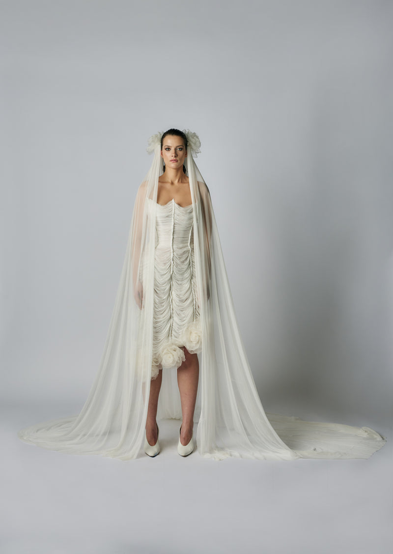 The Last Rose Veil