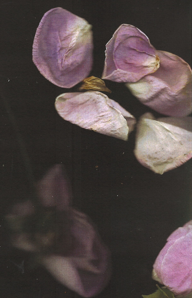 Right Image