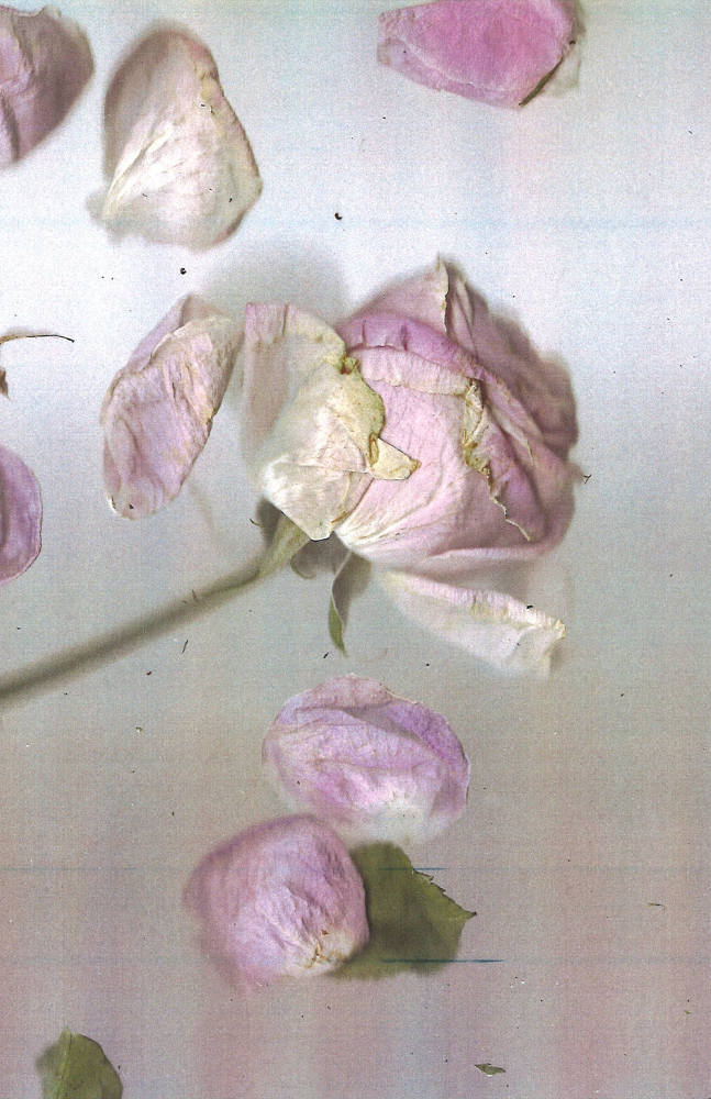 Right Image
