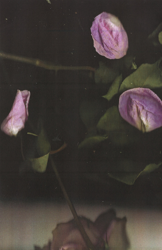 Left Image